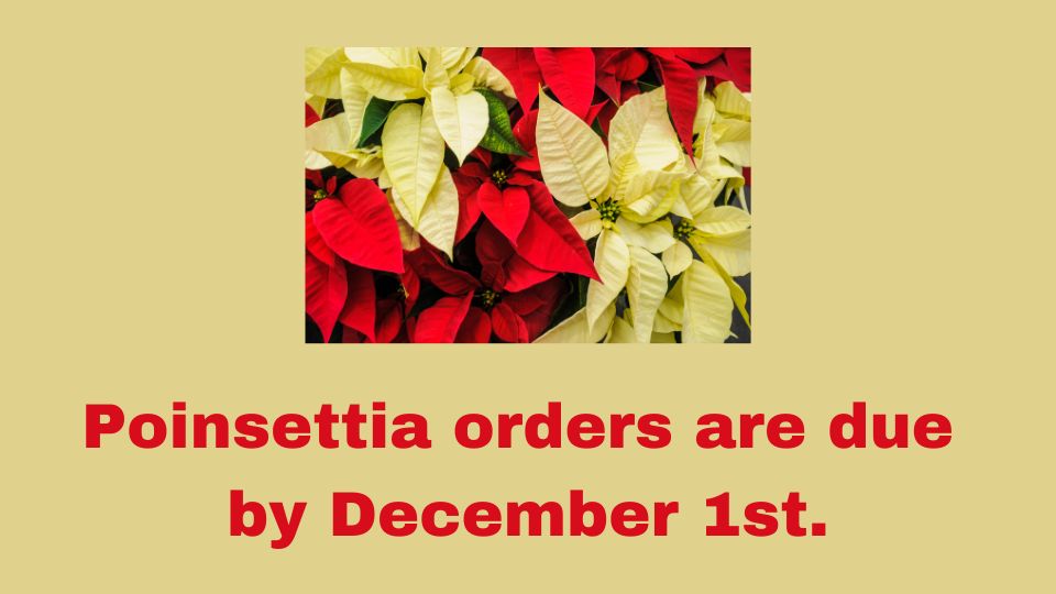 Poinsettia Orders Due Dce 1st